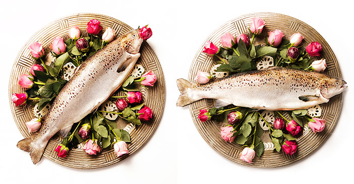fish and roses styling